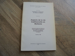 ASPECTS DE LA VIE TRADITIONNELLE EN WALLONIE Régionalisme Folklore Géants Culte St Blaise Monstres Fêtes Cour Sur Heure - Belgium