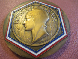 Médaille De Table /République Française/Soirée Des Maires De France/Paris/Bronze / 1987           MED509 - Autres & Non Classés