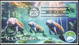 USA 2024 Save Manatees,Fish,Under Water,Herbivorous Marine, Mammal,Sea Cow ,Pictorial Postmark,FDC Cover (**) - Covers & Documents