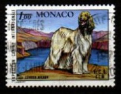 MONACO   -  1978 .  Y&T N° 1163 Oblitéré.  Chien. Lévrier Afghan - Usados