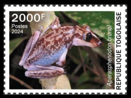 TOGO 2024 STAMP 1V 2000F - TOXIC SPECIES - FROG FROGS GRENOUILLES GRENOUILLE - MNH - Grenouilles