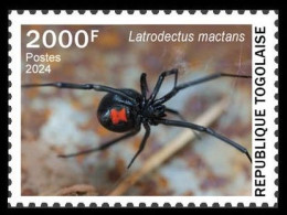 TOGO 2024 STAMP 1V 2000F - TOXIC SPECIES - SPIDERS SPIDER BLACK WIDOW VEUVE NOIRE - MNH - Spinnen