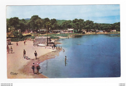 83 SAINT AYGULF N°6149 Le Camping International Au Bord De L'ARGENS Baignade VOIR DOS Et Flamme En 1961 - Saint-Aygulf