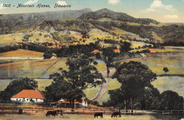 CPA AUSTRALIE / MOUTAIN HOMES / ILLAWARRA - Autres & Non Classés