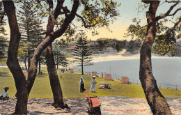 CPA AUSTRALIE / THROUGH THE TREES / COOGEE - Other & Unclassified