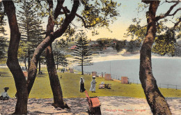 CPA AUSTRALIE / THROUGH THE TREES / COOGEE - Autres & Non Classés