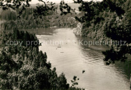 72941320 Zschopau Wappenfelsen Zschopau - Zschopau