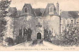 SELLES SUR CHER - Entrée Du Château - état - Selles Sur Cher