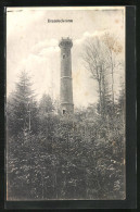 AK Offenburg, Blick Zum Brandeckturm  - Offenburg