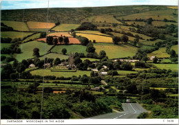 12-5-2024 (4 Z 50) UK - Dartmoor - Dartmoor