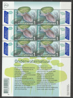 Nederland NVPH 2024 Vel Onderwaternatuur Bittervoorn 2024 MNH Postfris Europa Fish Bitterling - Unused Stamps