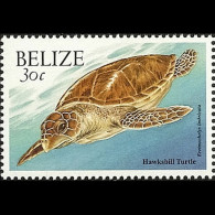 BELIZE 2000 - Scott# 1123 Hawksbill Turtle 30c MNH - Belize (1973-...)