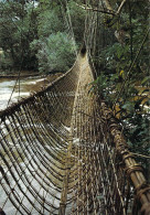 Gabon - Le Pont De Lianes De Poubara - Gabon