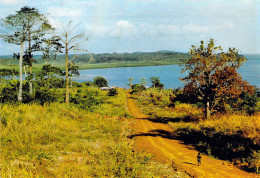 Gabon - Paysage Près D'Owendo - Gabon