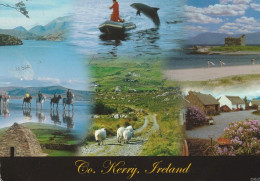 1 AK Irland / Ireland * Landschaften Im County Kerry * - Kerry