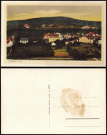 Ansichtskarte Coswig (Sachsen) Stadtpartie 1926 - Coswig