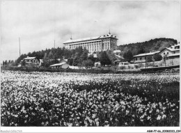 AGMP7-0504-66 - FONT ROMEU - La Station Et Les Champs De Narcisses  - Prades