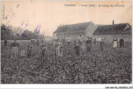 CAR-ABAP8-78-0734 - TRAPPES - Ferme Dailly - Arrachage Des Betteraves - Trappes