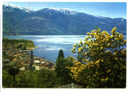 CPSM / CPM 10.5 X 15 Suisse Canton Du Tessin ASCONA Lago Maggiore Lac Majeur - Ascona