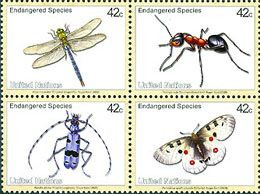 O.N.U. New York 2009 - Espèces Menacées - Insectes - 4 V. - Unused Stamps