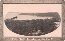 CPA AUSTRALIE / SYDNEY HEADS FROM MOSMAN HEIGHTS - Other & Unclassified
