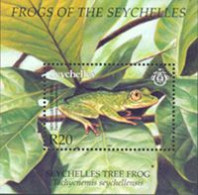 SEYCHELLES 2003  -  Grenouilles - BF - Grenouilles