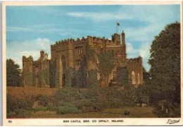 BIRR.  -   Castle. - Offaly