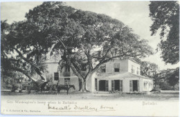 C. P. A. : BARBADOS : Geo Washington's Home In Barbados, Horse Carriage, Stamp In 1905 - Barbados