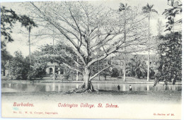 C. P. A. : BARBADOS : Codrington College, St Johns, Stamp In 1907 - Barbados (Barbuda)