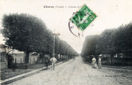 89 :  Charny : Avenue ;;; (trace Pli Vertical)  ///  Ref. Mai 24 ///  N° 29.709 - Charny