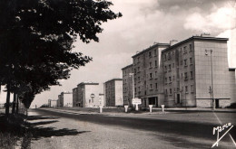 Le Plessis Robinson - Avenue Léon Blum - Quartier Cité HLM - Le Plessis Robinson