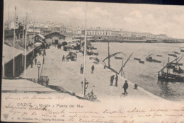 Cádiz.Muelle Y Puerta Del Mar Editor Dr.Trenkler.Bastante Rara De Encontrar Por 8 Euros - Cádiz