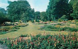 72762795 Diss Bressingham Hall Gardens  - Other & Unclassified