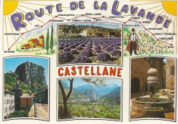 *CPM - 04 - CASTELLANE Multivue - - Castellane