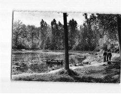 VIROFLAY : L'Etang Des écrevisses - Très Bon état - Viroflay