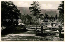 72633961 Alice The Mountain Home Hogsback Hydro - Sonstige & Ohne Zuordnung