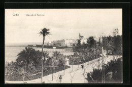 Postal Cadiz, Alameda De Apodaca  - Cádiz