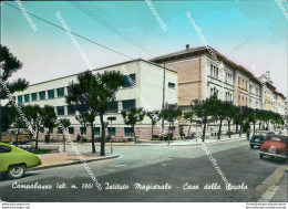 Br376 Cartolina Campobasso Citta' Istituto Magistrale Casa Della Scuola - Campobasso