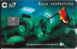 Poland: Telekomunikacja Polska - 2002 Transparent Card - Polen