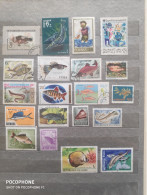 Different Countries	Fishes (F97) - Colecciones (sin álbumes)