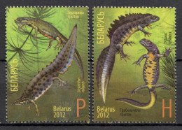 Belarus 2012 Bielorrusia  / Amphibians Newts MNH Anfibios Tritón Amphibien / Cu22104  27-29 - Grenouilles