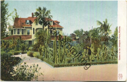 Florida - Palm Beach - Cactus On The Craignan Place - Edition H. C. Leighton Co. Portland Me. 1904 - Palm Beach