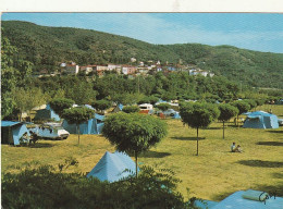 *** 66  ***    AMELIE LES BAINS  Le Camping  Timbrée TTB - Amélie-les-Bains-Palalda