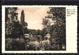 AK Plauen / V., Idyll Aus Dem Park  - Plauen