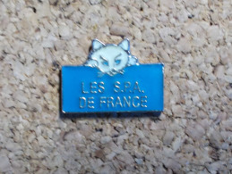 Pin's - Les S.P.A. De France - Chat - Animaux