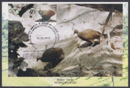 Inde India 2012 Maximum Max Card Nicobar Megapode, Bird, Birds, Biodiversity, WIldlife - Briefe U. Dokumente