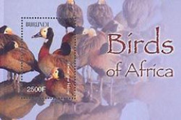 BURUNDI 2004 - Oiseaux D'Afrique - Dendrocygnes Veufs - Bloc - Neufs