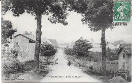 70 - VAUVILLERS - Route De St Loup - Vauvillers