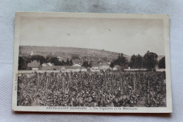 Nuits Saint Georges, Un Vignoble Et La Montagne, Cote D'Or 21 - Nuits Saint Georges