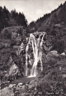 Cartolina Schilpario ( Bergamo ) Cascata - Bergamo